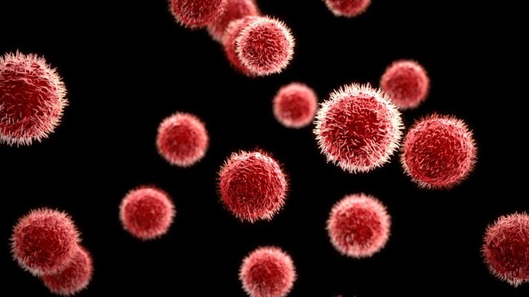 did-you-know-viruses-are-not-alive